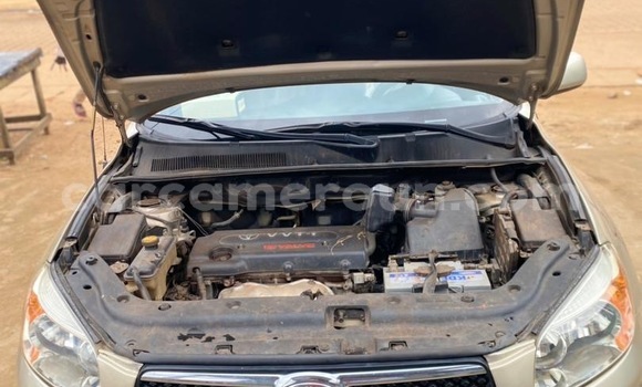 Buy New Toyota RAV4 Other Car in Douala in Littoral Cameroon Buy New Toyota RAV4 Other Car in Douala in Littoral Cameroon