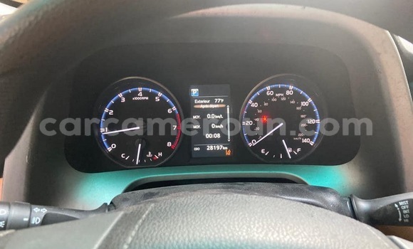 Buy New Toyota RAV4 Black Car in Yaounde in Central Cameroon Buy New Toyota RAV4 Black Car in Yaounde in Central Cameroon