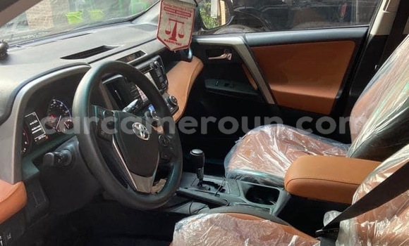 Buy New Toyota RAV4 Black Car in Yaounde in Central Cameroon Buy New Toyota RAV4 Black Car in Yaounde in Central Cameroon