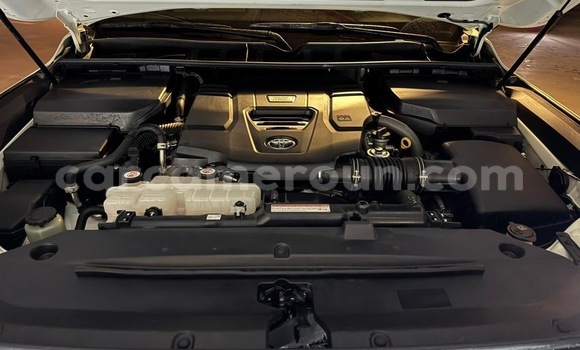 Buy New Toyota Land Cruiser White Car in Douala in Littoral Cameroon Buy New Toyota Land Cruiser White Car in Douala in Littoral Cameroon