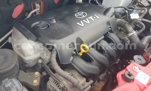 Buy Used Toyota Yaris Red Car in Yaounde in Central Cameroon Buy Used Toyota Yaris Red Car in Yaounde in Central Cameroon