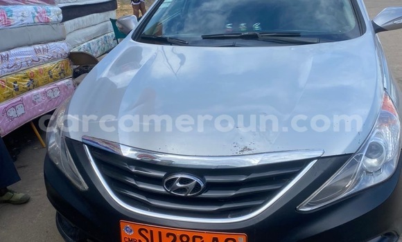 Buy Used Hyundai Sonata Other Car in Douala in Littoral Cameroon
