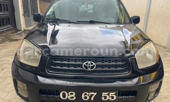 Buy Used Toyota RAV4 Black Car in Douala in Littoral Cameroon