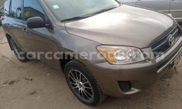 Sayi Na hannu Toyota RAV4 Brown Mota in Douala a Ƙasar Kamaru