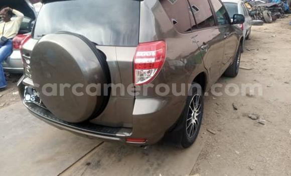 Sayi Na hannu Toyota RAV4 Brown Mota in Douala a Ƙasar Kamaru Sayi Na hannu Toyota RAV4 Brown Mota in Douala a Ƙasar Kamaru