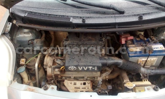 Buy New Toyota Yaris Other Car in Yaounde in Central Cameroon Buy New Toyota Yaris Other Car in Yaounde in Central Cameroon