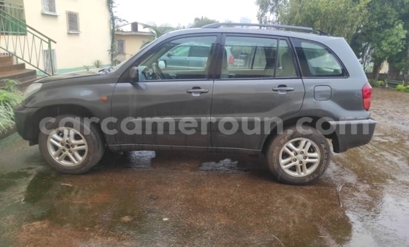 Acheter Occasion Voiture Toyota RAV4 Gris à Douala, Littoral Cameroon
