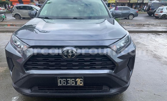 Buy Import Toyota RAV4 Other Car in Douala in Littoral Cameroon