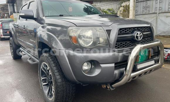 Buy Import Toyota Tacoma Silver Car in Douala in Littoral Cameroon