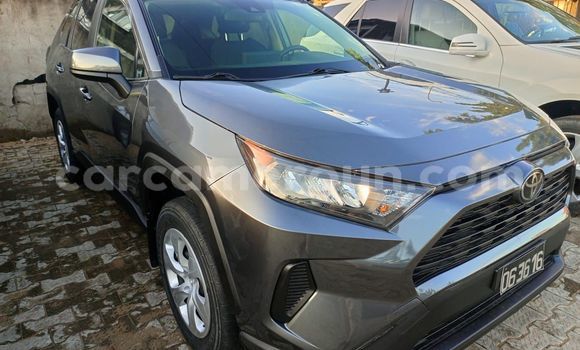 Buy Import Toyota RAV4 Silver Car in Douala in Littoral Cameroon