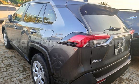 Acheter Import Voiture Toyota RAV4 Gris à Douala, Littoral Cameroon Acheter Import Voiture Toyota RAV4 Gris à Douala, Littoral Cameroon