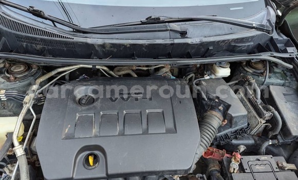 Buy Import Toyota Matrix Other Car in Douala in Littoral Cameroon Buy Import Toyota Matrix Other Car in Douala in Littoral Cameroon