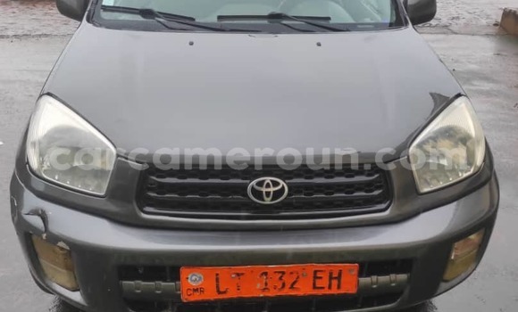 Buy Used Toyota RAV4 Silver Car in Douala in Littoral Cameroon