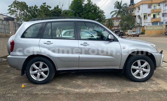 Buy Import Toyota RAV4 Silver Car in Douala in Littoral Cameroon Buy Import Toyota RAV4 Silver Car in Douala in Littoral Cameroon