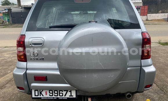 Buy Import Toyota RAV4 Silver Car in Douala in Littoral Cameroon Buy Import Toyota RAV4 Silver Car in Douala in Littoral Cameroon