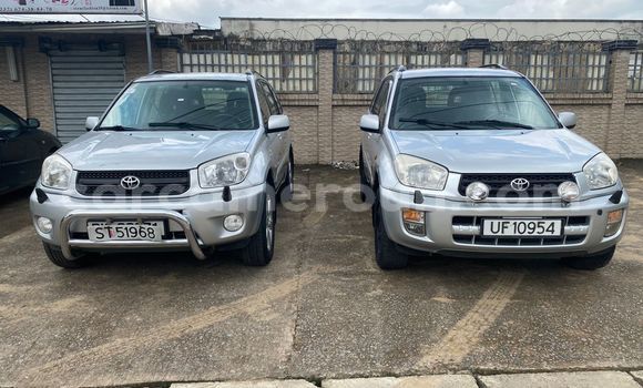 Buy Import Toyota RAV4 Silver Car in Douala in Littoral Cameroon Buy Import Toyota RAV4 Silver Car in Douala in Littoral Cameroon