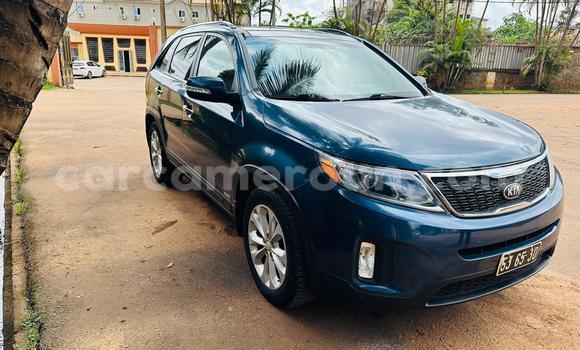 Buy Used Kia Sorento Blue Car in Yaounde in Central Cameroon Buy Used Kia Sorento Blue Car in Yaounde in Central Cameroon