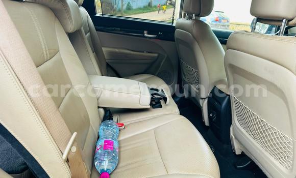 Buy Used Kia Sorento Blue Car in Yaounde in Central Cameroon Buy Used Kia Sorento Blue Car in Yaounde in Central Cameroon