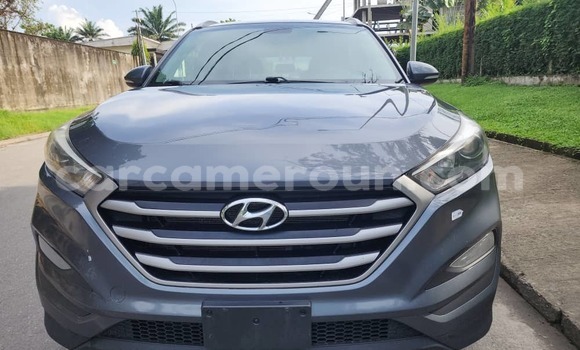 Buy Import Hyundai Tucson Blue Car in Douala in Littoral Cameroon Buy Import Hyundai Tucson Blue Car in Douala in Littoral Cameroon