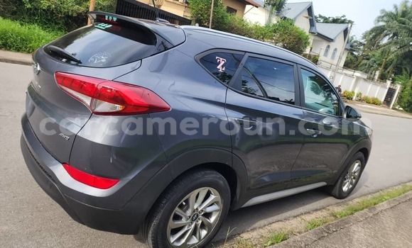 Buy Import Hyundai Tucson Blue Car in Douala in Littoral Cameroon Buy Import Hyundai Tucson Blue Car in Douala in Littoral Cameroon