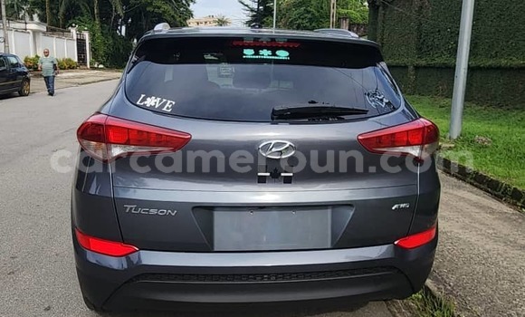 Buy Import Hyundai Tucson Blue Car in Douala in Littoral Cameroon Buy Import Hyundai Tucson Blue Car in Douala in Littoral Cameroon