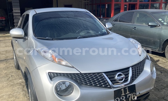 Acheter Import Voiture Nissan Juke Gris à Douala, Littoral Cameroon