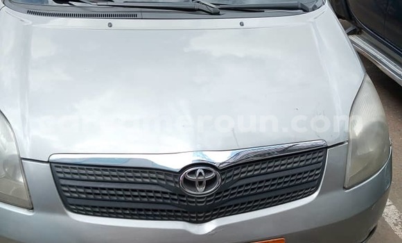 Acheter Occasion Voiture Toyota Corolla Gris à Douala, Littoral Cameroon Acheter Occasion Voiture Toyota Corolla Gris à Douala, Littoral Cameroon