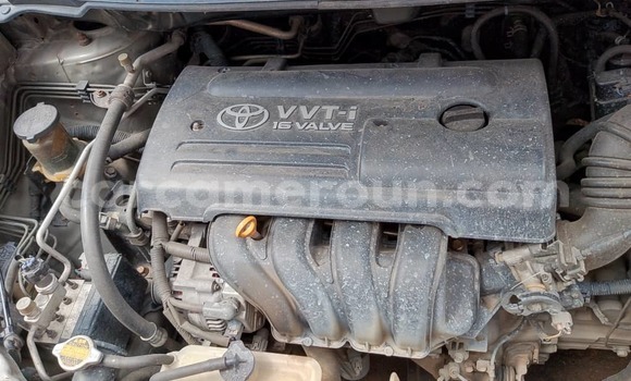 Acheter Occasion Voiture Toyota Corolla Gris à Douala, Littoral Cameroon Acheter Occasion Voiture Toyota Corolla Gris à Douala, Littoral Cameroon