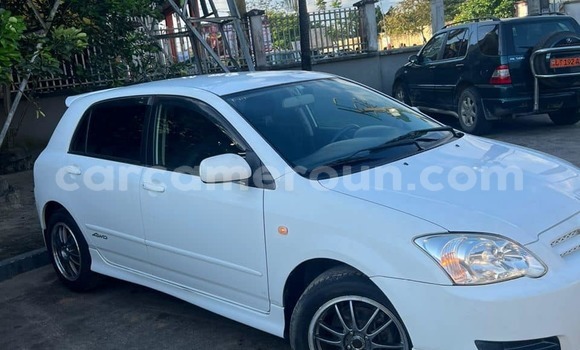 Buy Used Toyota Allex White Car in Douala in Littoral Cameroon