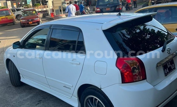 Acheter Occasion Voiture Toyota Allex Blanc à Douala, Littoral Cameroon Acheter Occasion Voiture Toyota Allex Blanc à Douala, Littoral Cameroon