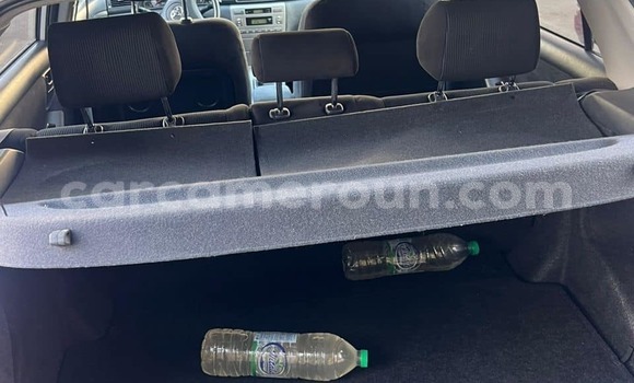 Acheter Occasion Voiture Toyota Allex Blanc à Douala, Littoral Cameroon Acheter Occasion Voiture Toyota Allex Blanc à Douala, Littoral Cameroon