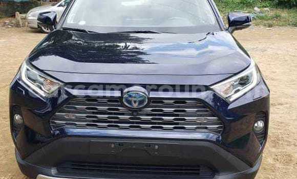 Acheter Occasion Voiture Toyota RAV4 Autre à Douala, Littoral Cameroon