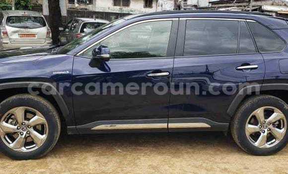 Sayi Na hannu Toyota RAV4 Sauran Mota in Douala a Ƙasar Kamaru Sayi Na hannu Toyota RAV4 Sauran Mota in Douala a Ƙasar Kamaru