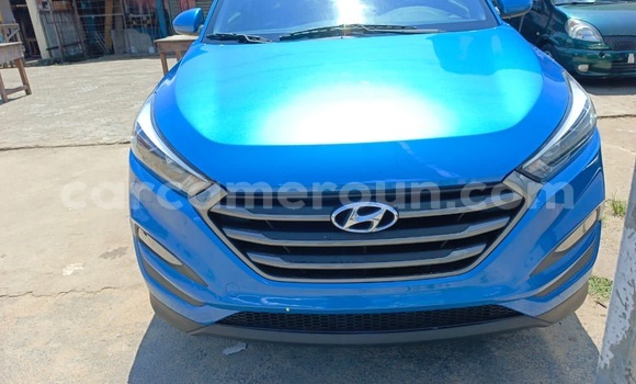 Buy Import Hyundai Tucson Blue Car in Douala in Littoral Cameroon Buy Import Hyundai Tucson Blue Car in Douala in Littoral Cameroon