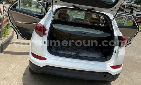 Sayi Imported Hyundai Tucson White Mota in Douala a Ƙasar Kamaru Sayi Imported Hyundai Tucson White Mota in Douala a Ƙasar Kamaru