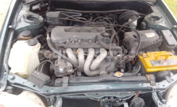 Acheter Occasion Voiture Toyota Corolla Autre à Douala, Littoral Cameroon Acheter Occasion Voiture Toyota Corolla Autre à Douala, Littoral Cameroon