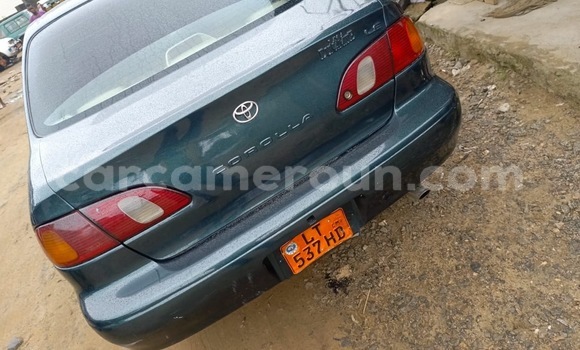 Acheter Occasion Voiture Toyota Corolla Autre à Douala, Littoral Cameroon Acheter Occasion Voiture Toyota Corolla Autre à Douala, Littoral Cameroon