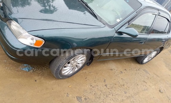 Acheter Occasion Voiture Toyota Corolla Autre à Douala, Littoral Cameroon Acheter Occasion Voiture Toyota Corolla Autre à Douala, Littoral Cameroon