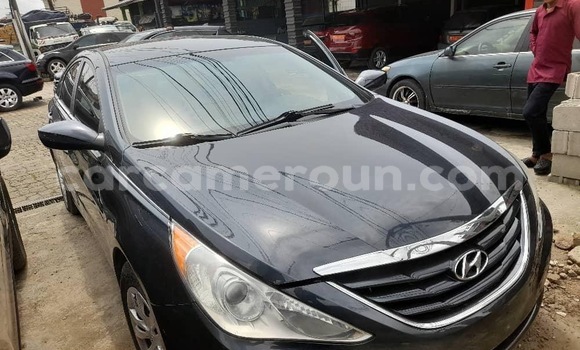 Acheter Import Voiture Hyundai Sonata Autre à Douala, Littoral Cameroon
